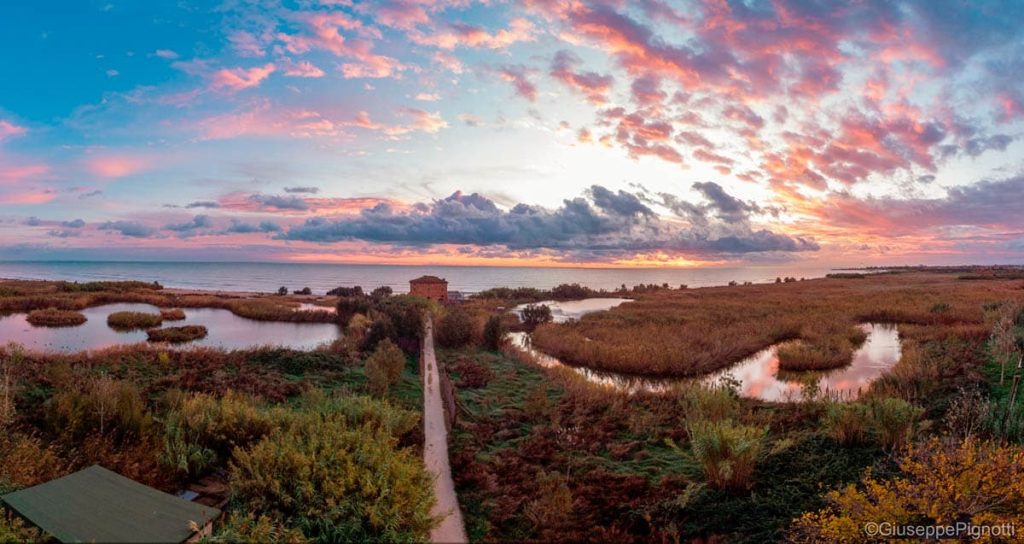 Camminata al Tramonto nella Riserva Sentina