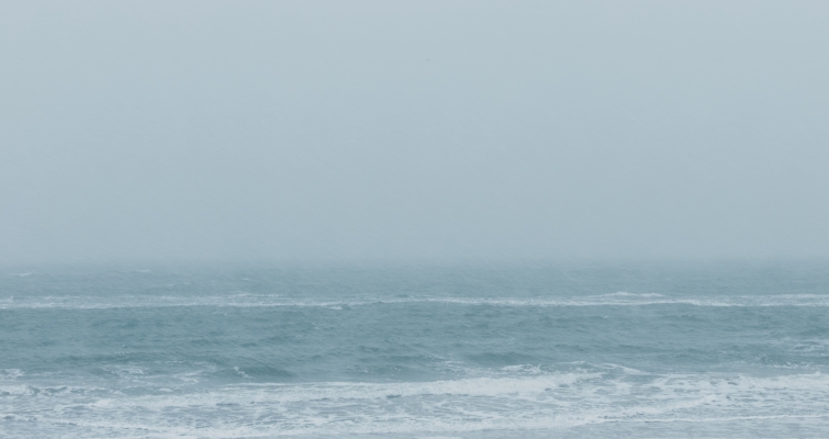 Avventure d’Autunno – Museo del Mare Young